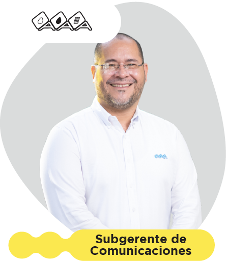 leonardo-rua-Elementos Web_landing bowl-21