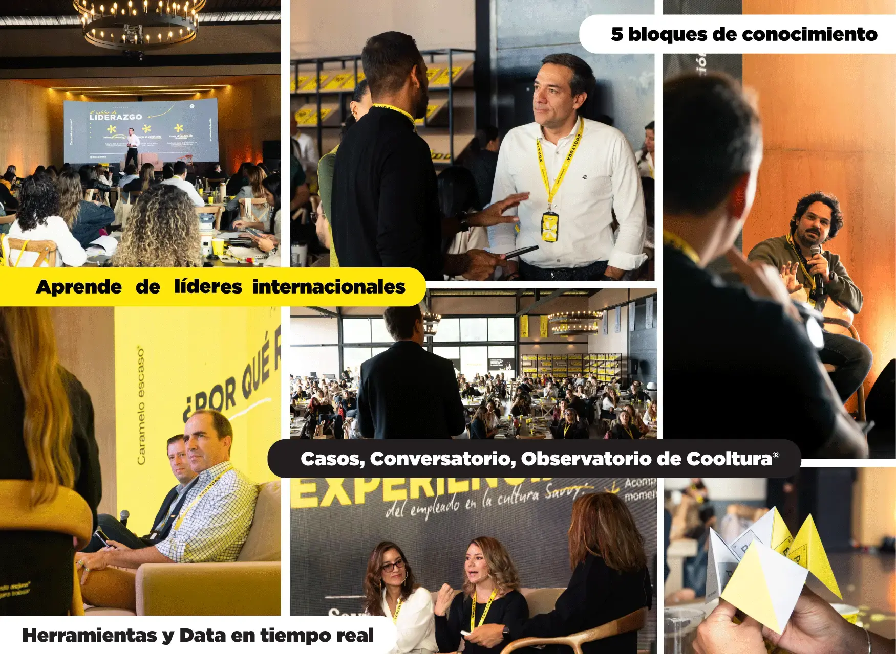 mosaico-bowl-2026-cooltura-en-accion mosaico-bowl-2026-cooltura-en-accion